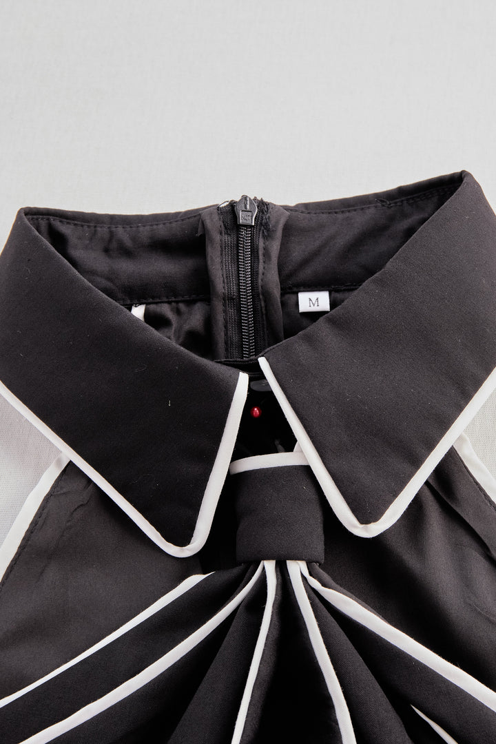 Stylish Sleeveless Halter Neck Blouse With Bold Contrast Trim HWT